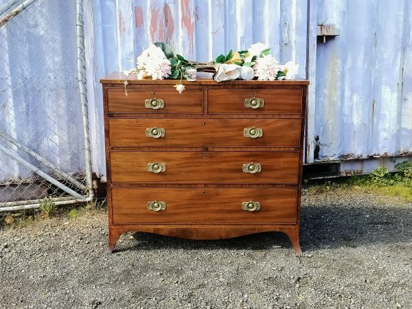 Regency Chest of Drawers - Image 13