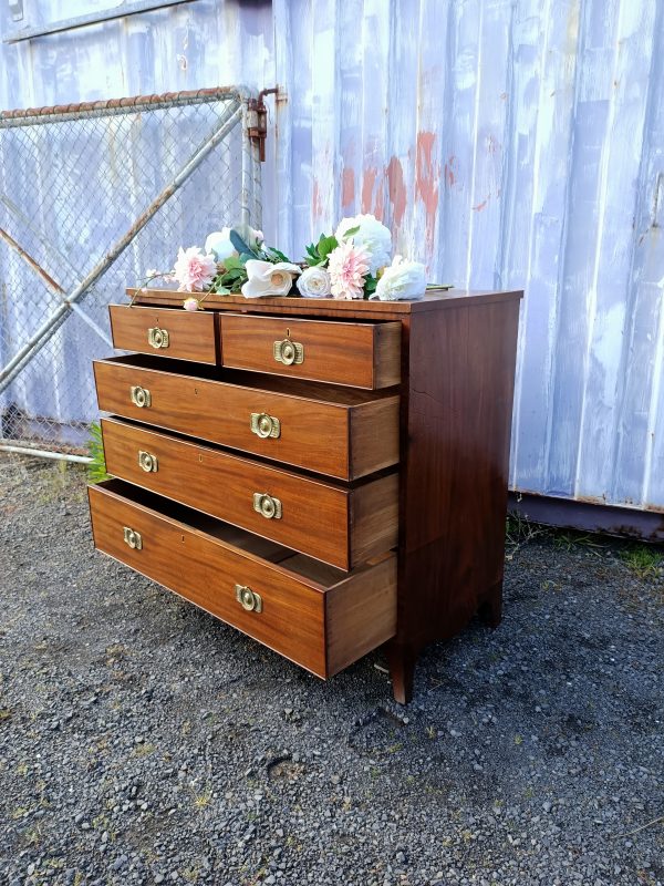 Regency Chest of Drawers - Image 6