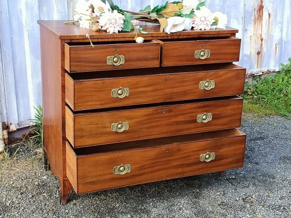 Regency Chest of Drawers - Image 7