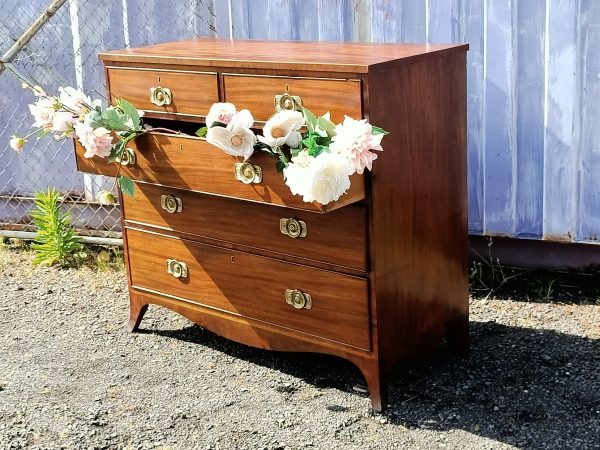 Regency Chest of Drawers - Image 8