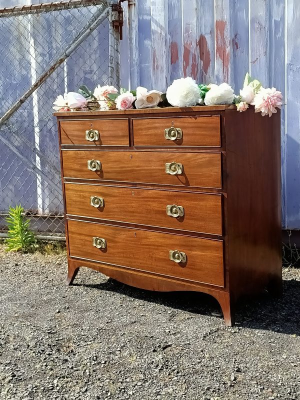 Regency Chest of Drawers - Image 9