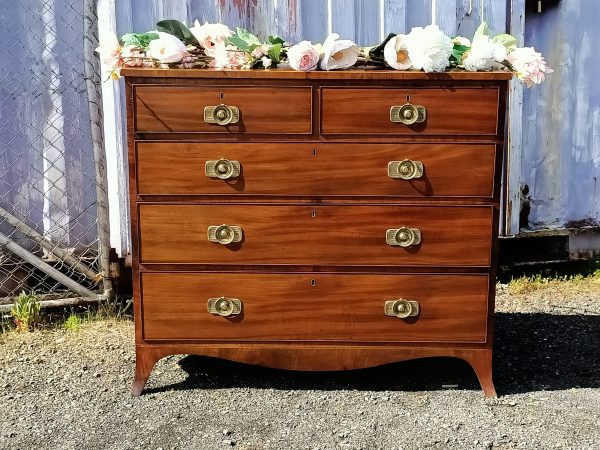 Regency Chest of Drawers - Image 3