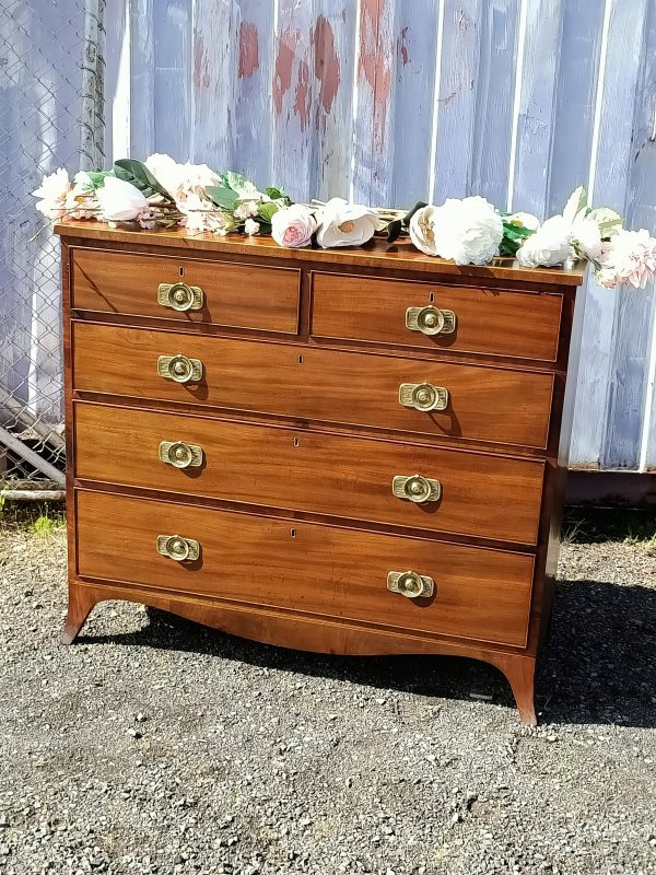 Regency Chest of Drawers - Image 2