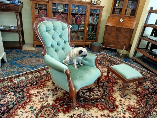 Snifter green velvet and Mahogany Spoonback chair - Image 6