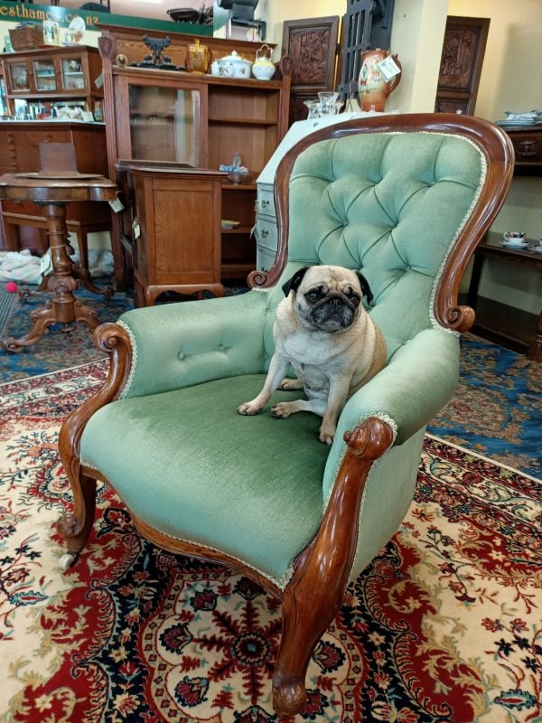 Snifter green velvet and Mahogany Spoonback chair - Image 7