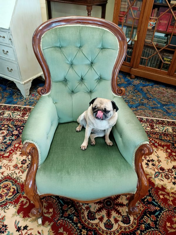 Snifter green velvet and Mahogany Spoonback chair - Image 8