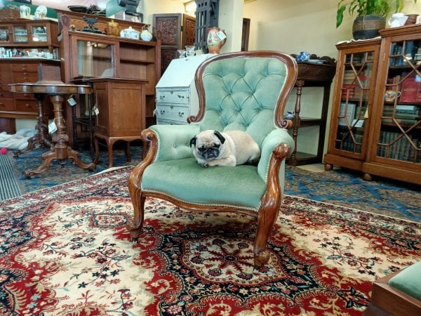 Snifter green velvet and Mahogany Spoonback chair