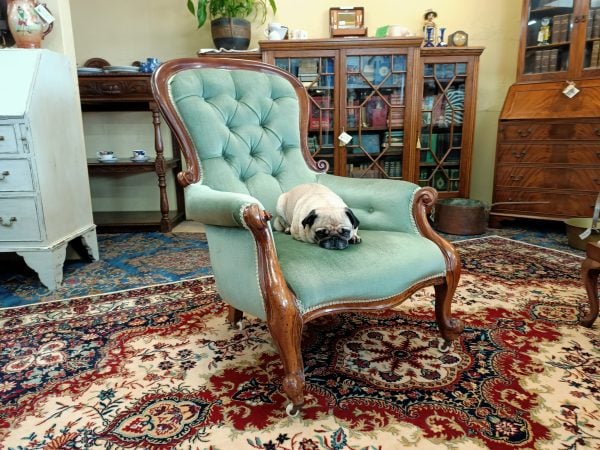 Snifter green velvet and Mahogany Spoonback chair - Image 3