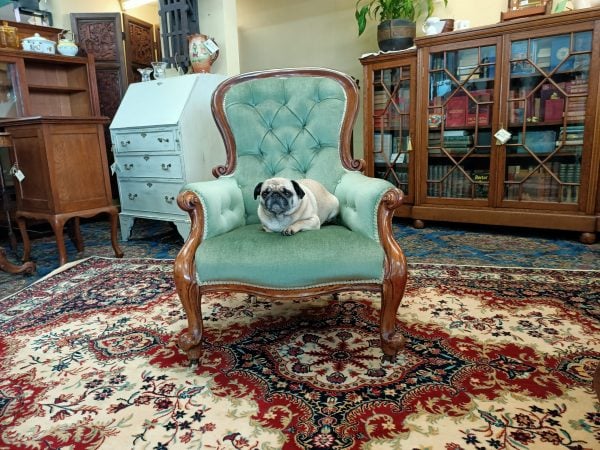 Snifter green velvet and Mahogany Spoonback chair - Image 5