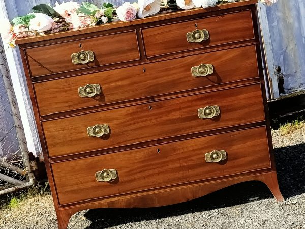 Regency Chest of Drawers - Image 10