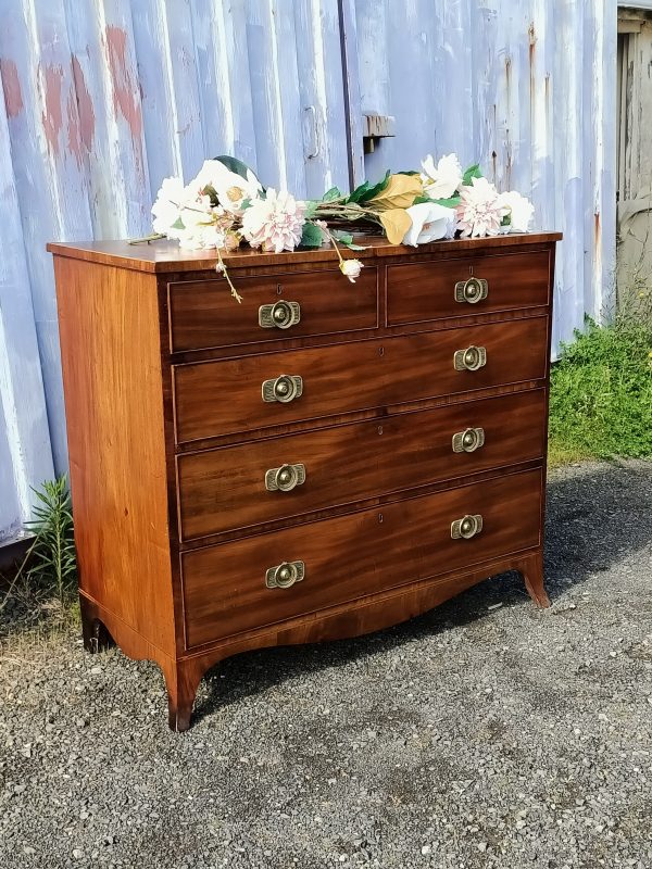 Regency Chest of Drawers