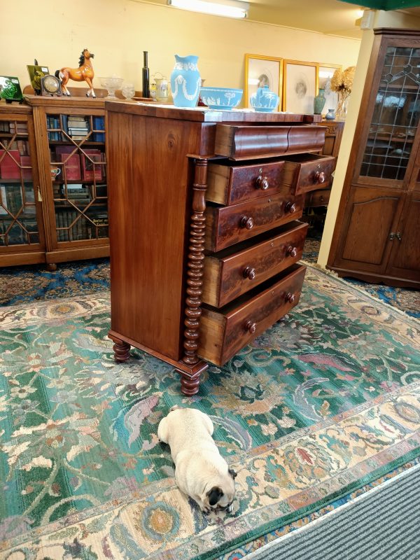 Bobbin Column Mahogany Scotch Chest - Image 14