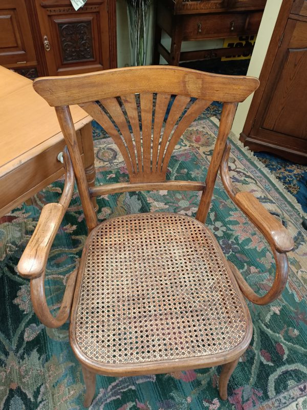 European Bentwood Carver Chair - Image 5