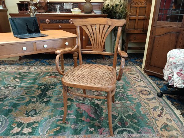 European Bentwood Carver Chair - Image 2