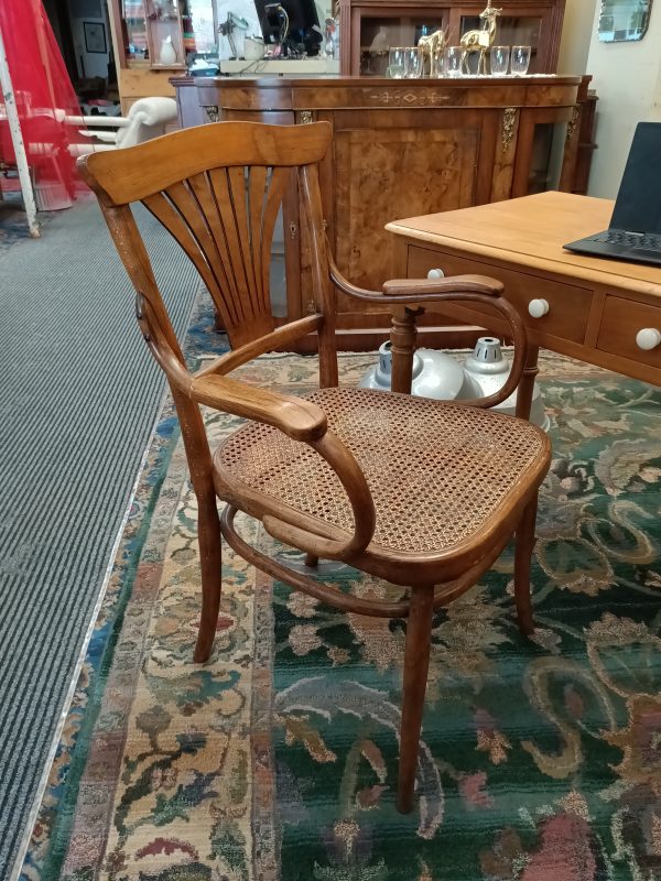 European Bentwood Carver Chair - Image 13