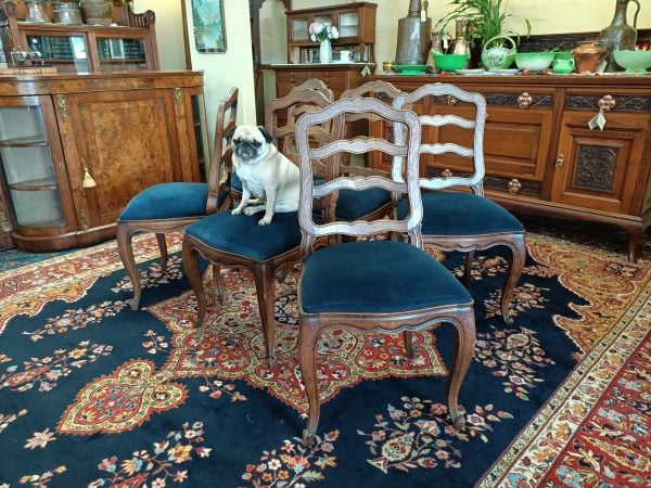 sold sold sold ... Six French oak dining chairs - Image 2