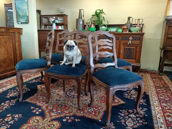 sold sold sold ... Six French oak dining chairs