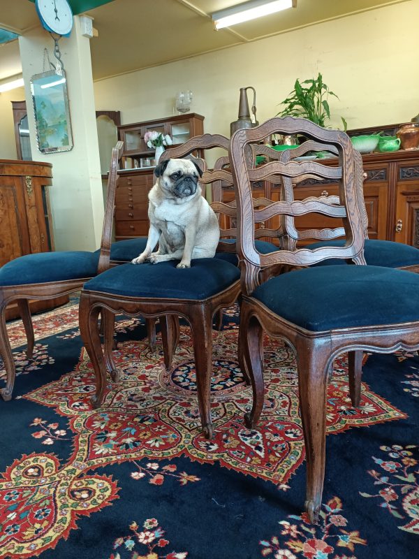 sold sold sold ... Six French oak dining chairs - Image 4