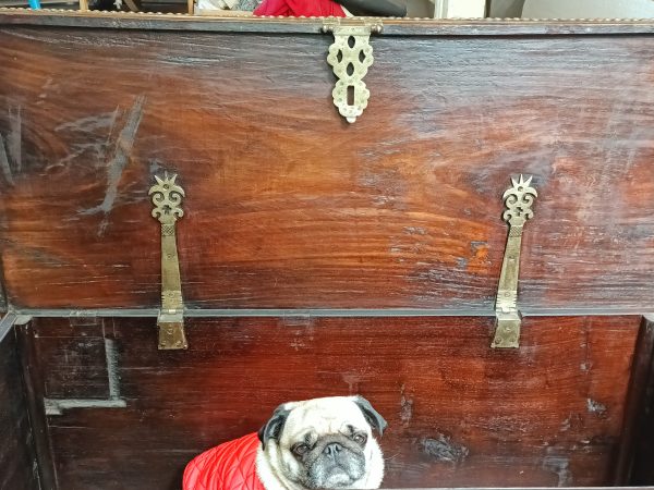 Zanzibar Chest - Image 3
