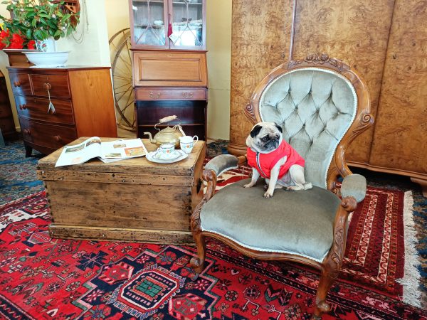 English Spoonback Chair - Image 9