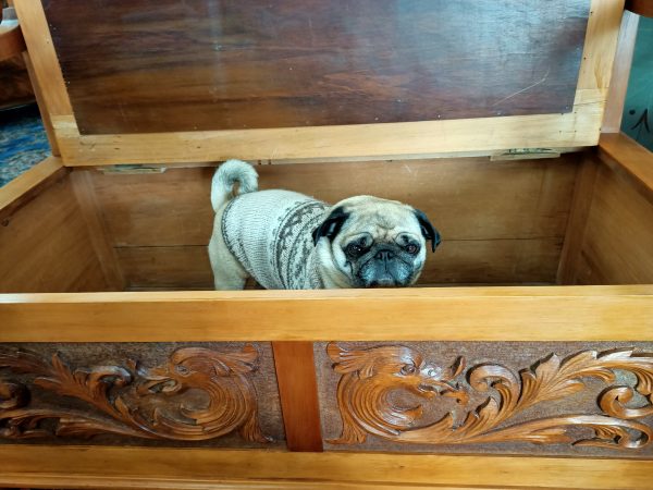 Carved Kauri box Settle - Image 8