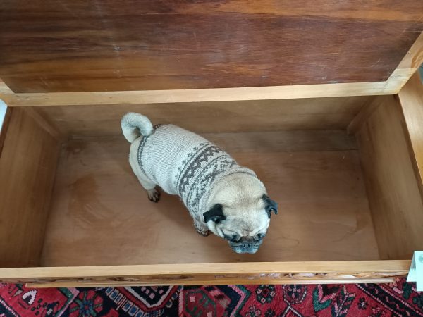 Carved Kauri box Settle - Image 7
