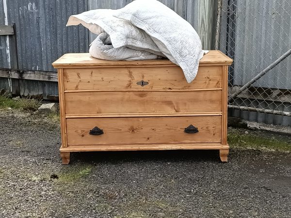 Pine Mule chest - Image 12