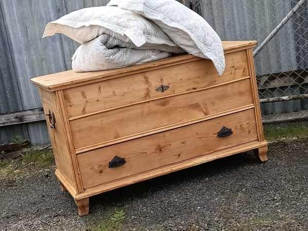 Pine Mule chest - Image 13