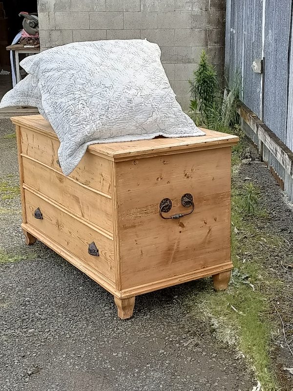 Pine Mule chest - Image 10