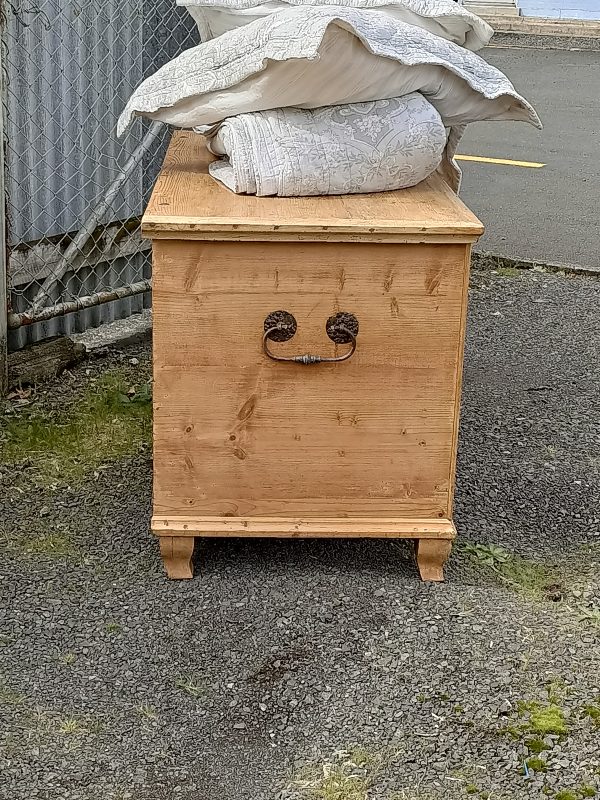 Pine Mule chest - Image 11