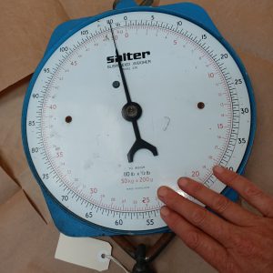 Salter wall Scales