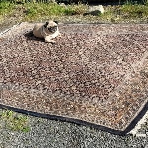 Booo2ful vintage Boteh Carpet