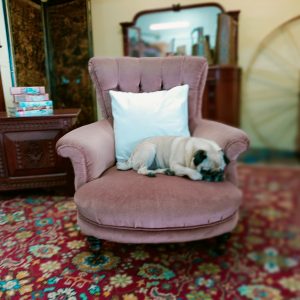 Pink Pugster Chair