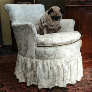 QTPie Bedroom Chair in Toile fabric