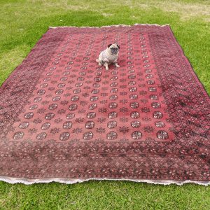 Afghani Bohkara Carpet approx 2.5m*3.5m
