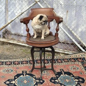 Captain Puggy Chair
