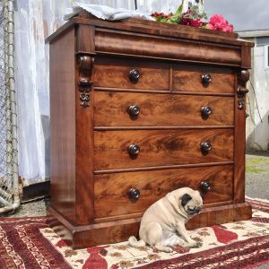 Continental Flame Mahogany Chest of Drawers